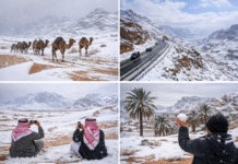 Saudi Arabia Witnesses Rare Snowfall After 30 Years: Why Is It Snowing in the Desert? Saudi Arabia Witnesses Rare Snowfall After 30 Years Why Is It Snowing in the Desert