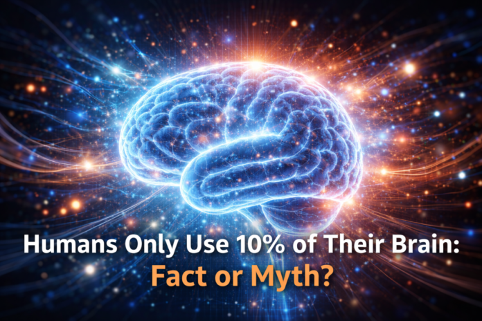 Humans Use 10% of Their Brain – Fact or Myth Explained Humans Use 10% of Their Brain – Fact or Myth Explained
