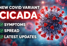 New COVID Variant Cicada BA.3.2 Latest Updates 2026 New COVID Variant Cicada BA.3.2 Latest Updates 2026